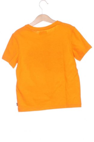 Dziecięcy T-shirt Original Marines, Rozmiar 4-5y/ 110-116 cm, Kolor Pomarańczowy, Cena 87,96 zł