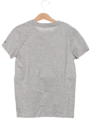 Kinder T-Shirt Pepe Jeans, Größe 9-10y/ 140-146 cm, Farbe Grau, Preis 26,29 €
