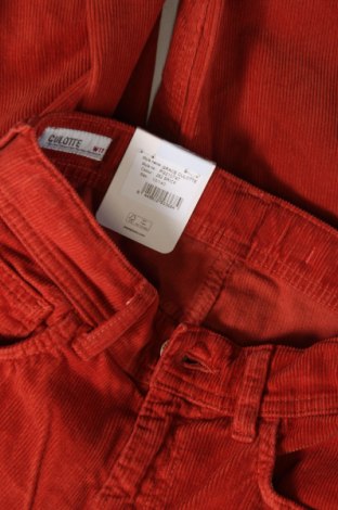 Kinder Cordhose Pepe Jeans, Größe 9-10y/ 140-146 cm, Farbe Orange, Preis 17,52 €