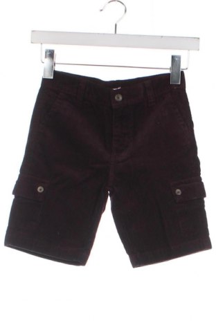 Детски къс панталон Gocco, Размер 5-6y/ 116-122 см, Цвят Кафяв, Цена 51,00 лв.