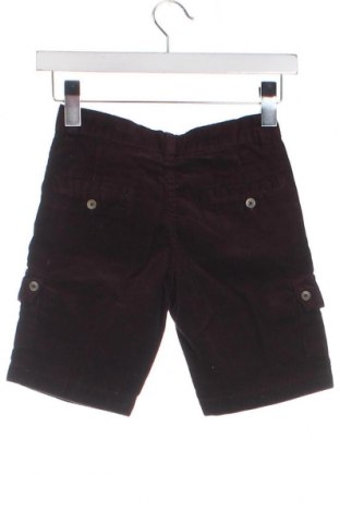 Dětské krátké kalhoty  Gocco, Velikost 5-6y/ 116-122 cm, Barva Hnědá, Cena  739,00 Kč