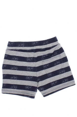 Детски къс панталон Guess, Размер 3-6m/ 62-68 см, Цвят Многоцветен, Цена 28,35 лв.