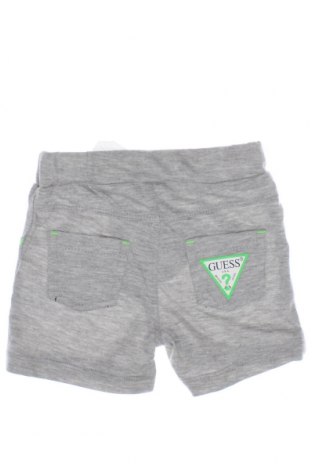 Kinder Shorts Guess, Größe 3-6m/ 62-68 cm, Farbe Grau, Preis 6,49 €