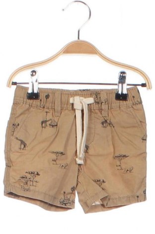 Παιδικό κοντό παντελόνι Original Marines, Μέγεθος 6-9m/ 68-74 εκ., Χρώμα  Μπέζ, Τιμή 5,26 €