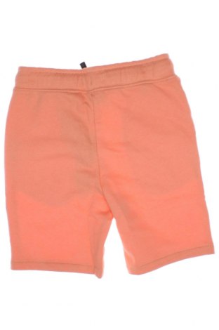 Kinder Shorts Tom Tailor, Größe 3-4y/ 104-110 cm, Farbe Orange, Preis 26,29 €