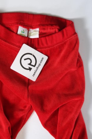 Dětské kalhoty  Disney, Velikost 12-18m/ 80-86 cm, Barva Červená, Cena  125,00 Kč