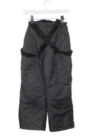 Детски панталон за зимни спортове Crane, Размер 6-7y/ 122-128 см, Цвят Сив, Цена 28,32 лв.