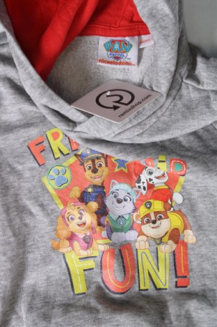 Kinder Sweatshirts Nickelodeon, Größe 2-3y/ 98-104 cm, Farbe Grau, Preis € 15,31