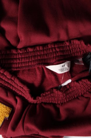 Παιδική κάτω φόρμα H&M, Μέγεθος 12-13y/ 158-164 εκ., Χρώμα Κόκκινο, Τιμή 12,83 €
