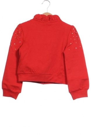 Dziecięca sportowa bluza Original Marines, Rozmiar 5-6y/ 116-122 cm, Kolor Czerwony, Cena 183,92 zł