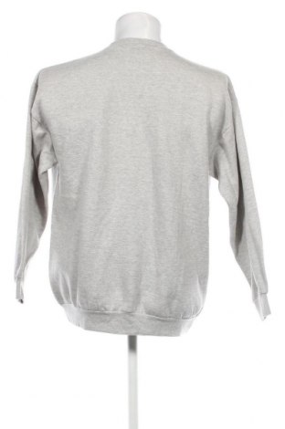 Ανδρική μπλούζα ALEX, Μέγεθος L, Χρώμα Γκρί, Τιμή 5,99 €