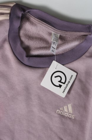 Herren Shirt Adidas, Größe L, Farbe Lila, Preis 23,81 €