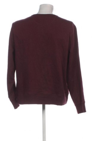 Ανδρική μπλούζα Amazon Essentials, Μέγεθος XL, Χρώμα Κόκκινο, Τιμή 8,79 €