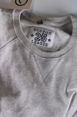 Ανδρική μπλούζα Boston, Μέγεθος M, Χρώμα Γκρί, Τιμή 11,75 €