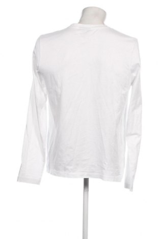 Ανδρική μπλούζα Camargue, Μέγεθος L, Χρώμα Λευκό, Τιμή 5,88 €