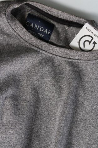 Ανδρική μπλούζα Canda, Μέγεθος L, Χρώμα Γκρί, Τιμή 5,52 €