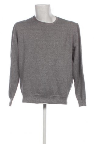 Herren Shirt Canda, Größe L, Farbe Grau, Preis € 6,21