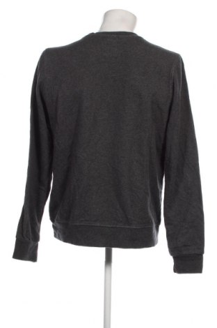 Herren Shirt Element, Größe L, Farbe Grau, Preis 18,79 €