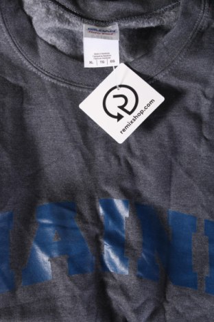Ανδρική μπλούζα Gildan, Μέγεθος XL, Χρώμα Γκρί, Τιμή 5,41 €