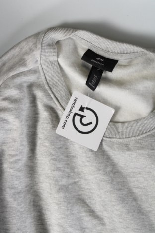 Herren Shirt H&M, Größe L, Farbe Grau, Preis € 4,76