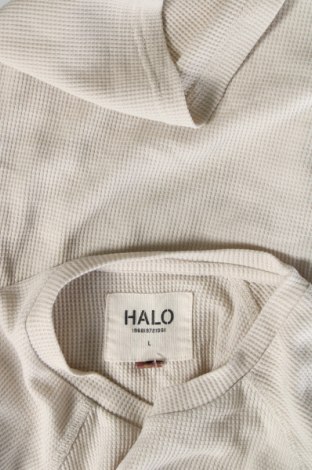 Ανδρική μπλούζα HALO, Μέγεθος L, Χρώμα Εκρού, Τιμή 33,65 €