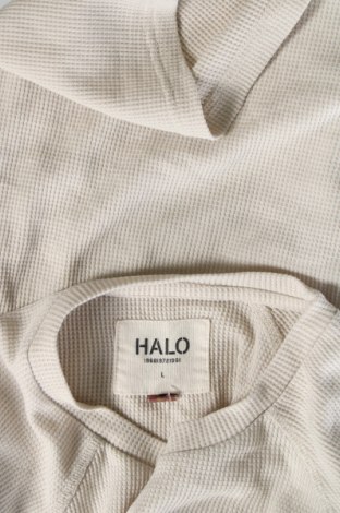 Herren Shirt HALO, Größe L, Farbe Ecru, Preis € 28,39