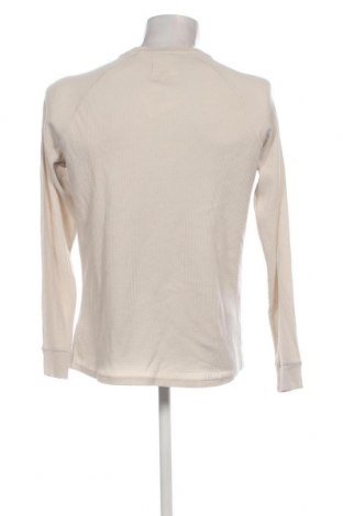Ανδρική μπλούζα HALO, Μέγεθος L, Χρώμα Εκρού, Τιμή 25,24 €