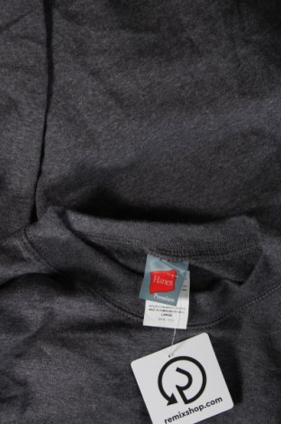 Ανδρική μπλούζα Hanes, Μέγεθος L, Χρώμα Γκρί, Τιμή 5,41 €