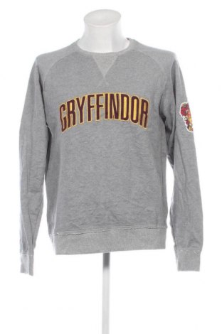 Ανδρική μπλούζα Harry Potter, Μέγεθος L, Χρώμα Γκρί, Τιμή 16,70 €