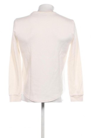 Herren Shirt Hollister, Größe S, Farbe Weiß, Preis 13,81 €