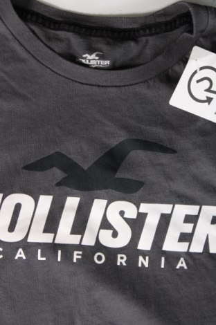 Herren Shirt Hollister, Größe L, Farbe Grau, Preis 14,00 €