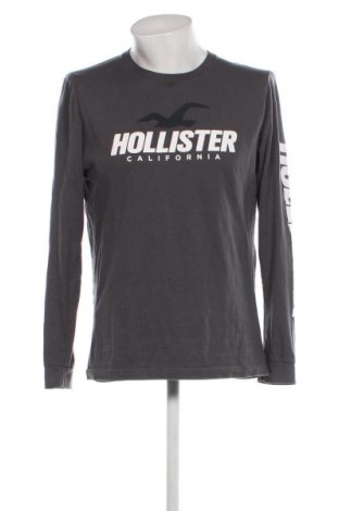 Ανδρική μπλούζα Hollister, Μέγεθος L, Χρώμα Γκρί, Τιμή 8,40 €