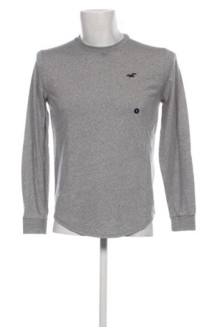 Herren Shirt Hollister, Größe S, Farbe Grau, Preis € 17,58