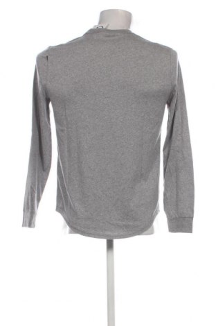 Herren Shirt Hollister, Größe S, Farbe Grau, Preis € 12,78