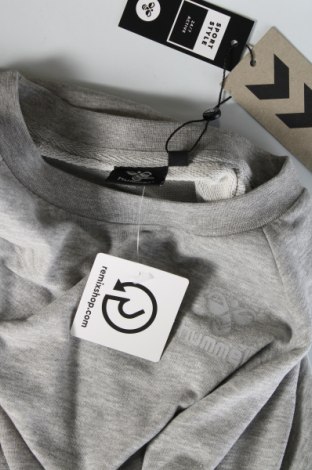 Ανδρική μπλούζα Hummel, Μέγεθος M, Χρώμα Γκρί, Τιμή 19,18 €