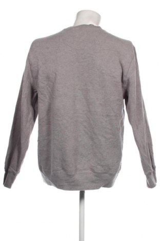Herren Shirt Izod, Größe L, Farbe Grau, Preis 6,87 €