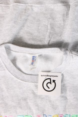 Herren Shirt Jerzees, Größe S, Farbe Grau, Preis 5,02 €