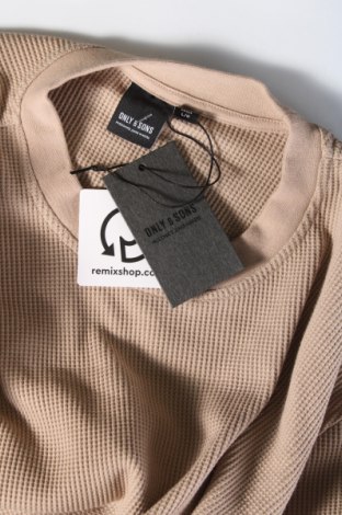 Ανδρική μπλούζα Only & Sons, Μέγεθος L, Χρώμα  Μπέζ, Τιμή 7,99 €