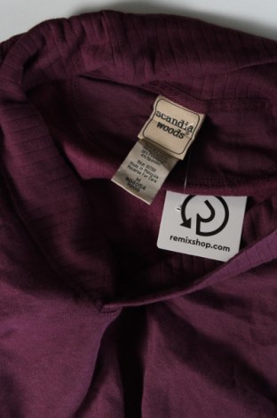 Ανδρική μπλούζα Scandia Woods, Μέγεθος M, Χρώμα Βιολετί, Τιμή 5,01 €