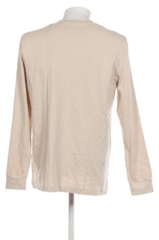 Ανδρική μπλούζα Tom Tailor, Μέγεθος XL, Χρώμα Εκρού, Τιμή 8,31 €