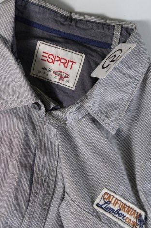 Ανδρικό πουκάμισο Esprit, Μέγεθος XXL, Χρώμα Γκρί, Τιμή 21,03 €