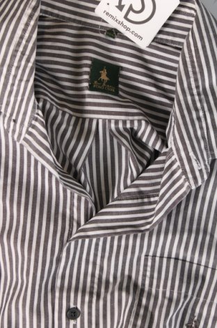 Ανδρικό πουκάμισο, Μέγεθος XL, Χρώμα Γκρί, Τιμή 9,30 €