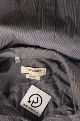 Ανδρικό πουκάμισο Teodor, Μέγεθος L, Χρώμα Γκρί, Τιμή 7,83 €