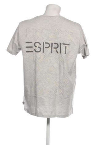 Pánske tričko  Esprit, Veľkosť L, Farba Sivá, Cena  15,98 €