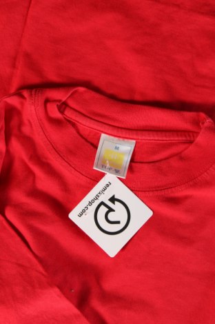 Herren T-Shirt Hanes, Größe M, Farbe Rot, Preis € 6,65