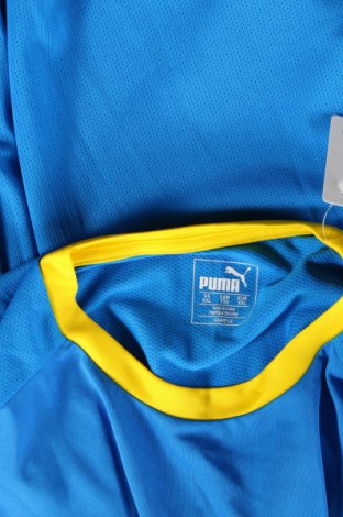 Pánske tričko  PUMA, Veľkosť XXL, Farba Modrá, Cena  13,84 €