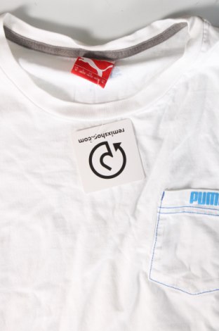 Herren T-Shirt PUMA, Größe M, Farbe Weiß, Preis 14,00 €
