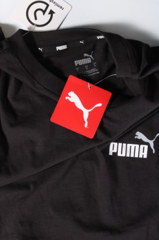 Herren T-Shirt PUMA, Größe L, Farbe Schwarz, Preis 31,96 €