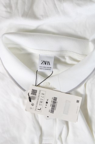 Herren T-Shirt Zara, Größe L, Farbe Weiß, Preis 25,05 €