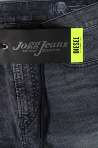 Pánske džínsy  Diesel, Veľkosť S, Farba Modrá, Cena  60,31 €